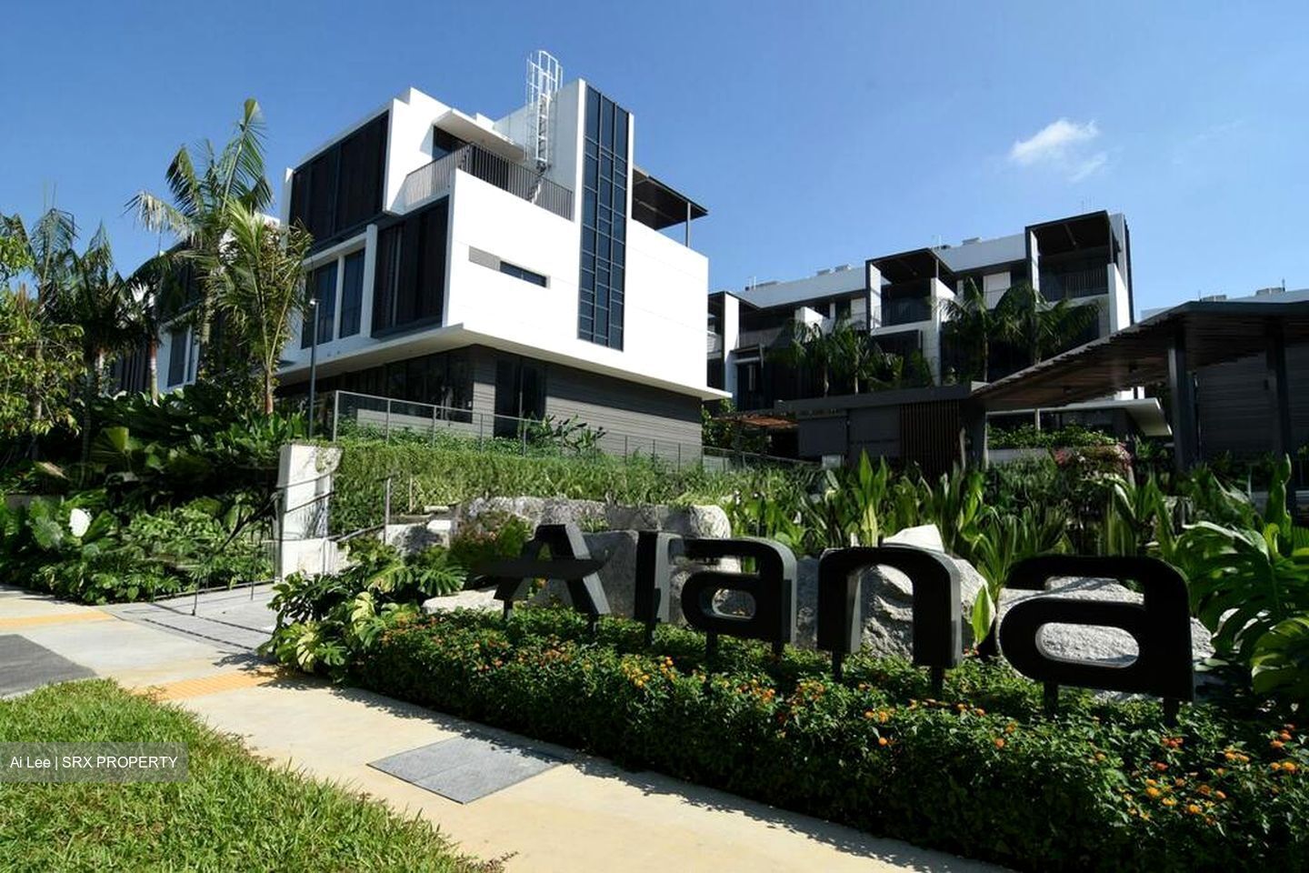 Sunrise Avenue (D28), Terrace #497830991